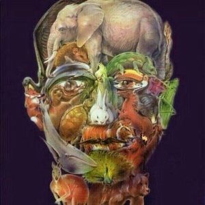 Meet your Posher, Elena